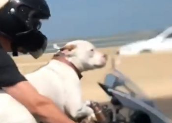 Kathaiyodu English – Part 04