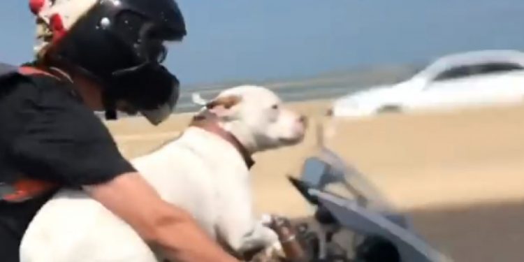 Kathaiyodu English – Part 04