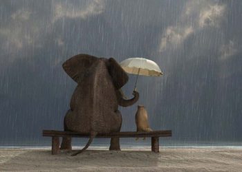 God comes to us – short story !