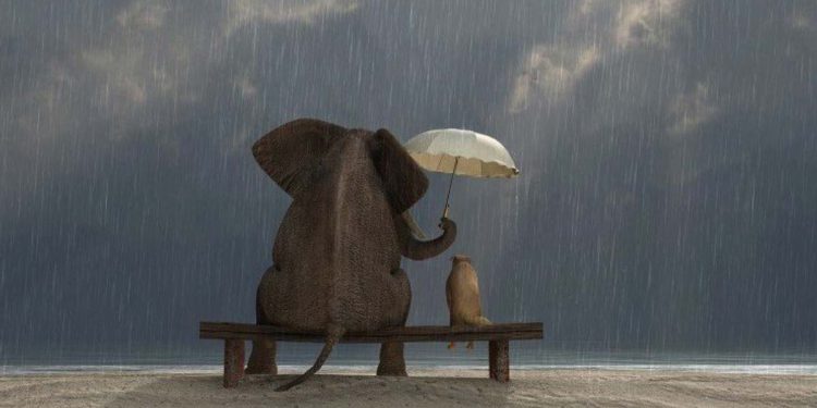 God comes to us – short story !