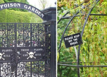 வாசனை பிடித்தாலே உயிர் போகும் உலகின் மிக மோசமான விஷ தோட்டம்