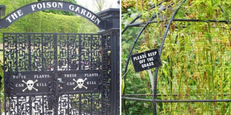 வாசனை பிடித்தாலே உயிர் போகும் உலகின் மிக மோசமான விஷ தோட்டம்