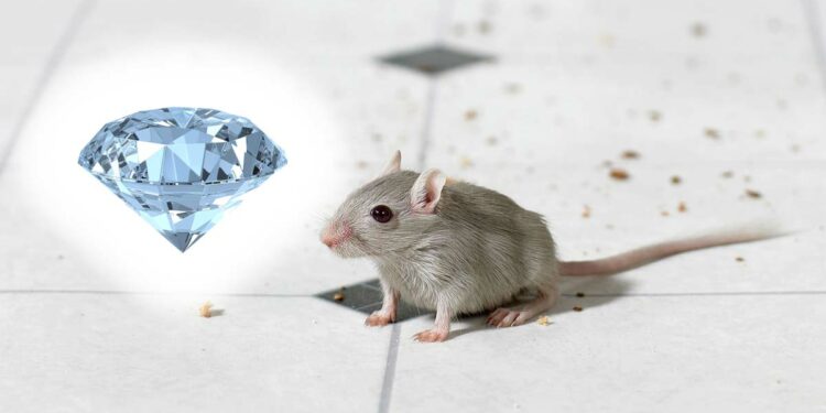 எலியும் வைரமும் - சிறுகதை - Diamond rich story