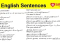 250 English sentences with Tamil