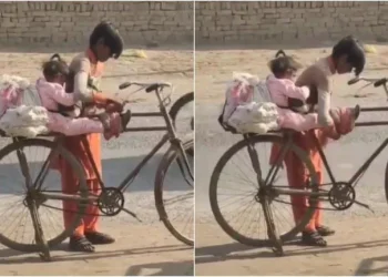 தங்கையின் பாதுகாப்பிற்காக அண்ணன் செய்யும் மனதை நெகிழும் செயல்