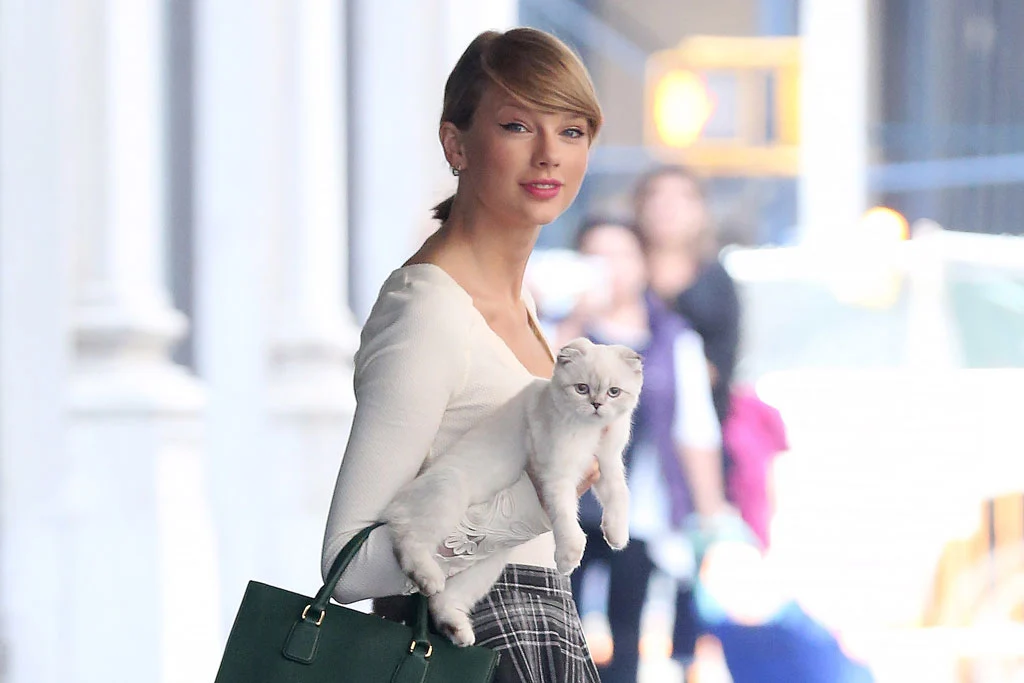 800 கோடி மதிப்புள்ள பூனை