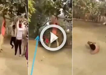 friend's prank viral video